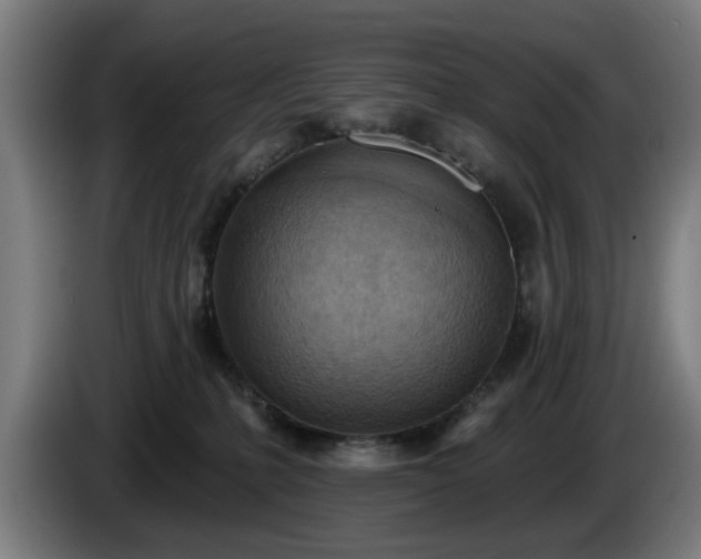 X0000086000231200703300955