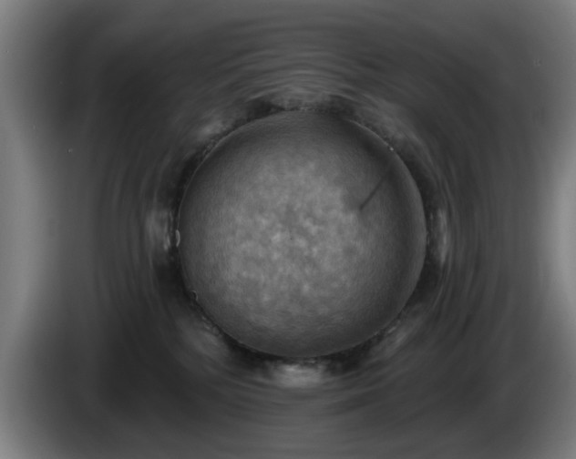 X0000086000232200703300955