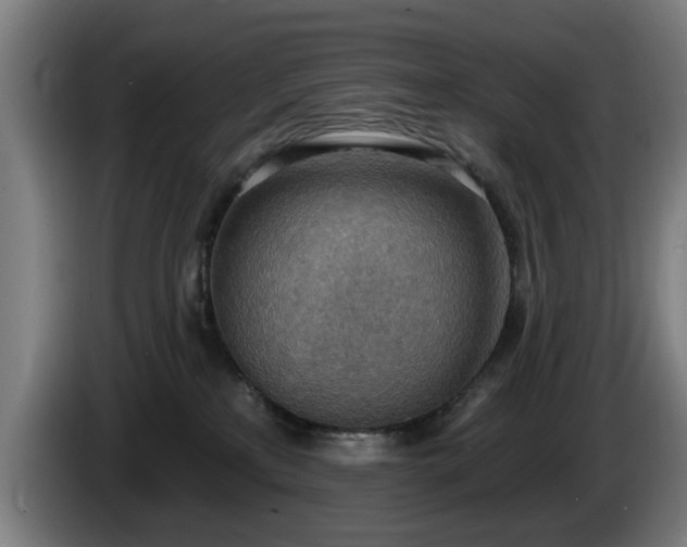 X0000086000233200703300955