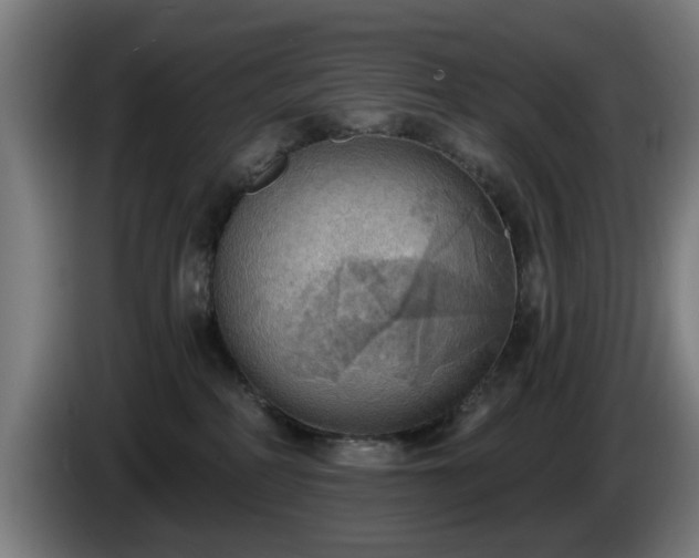 X0000086000234200703300955