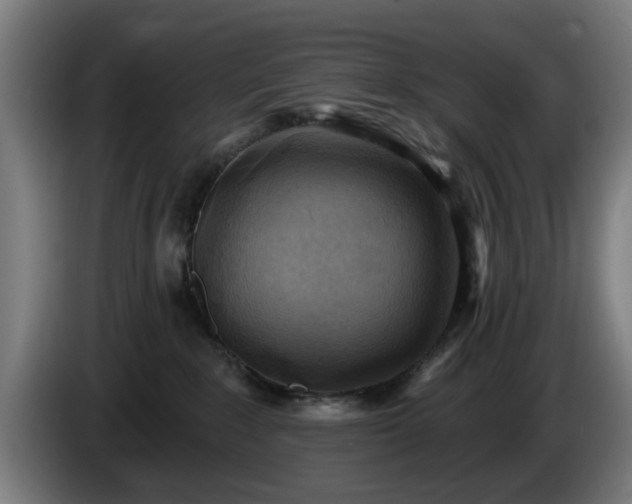 X0000086000235200703300955