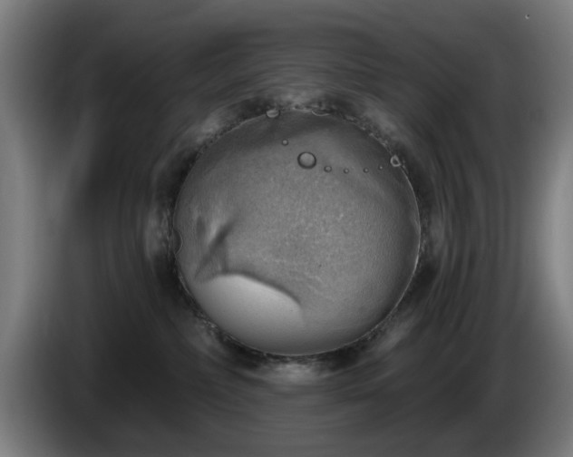 X0000086000236200703300955