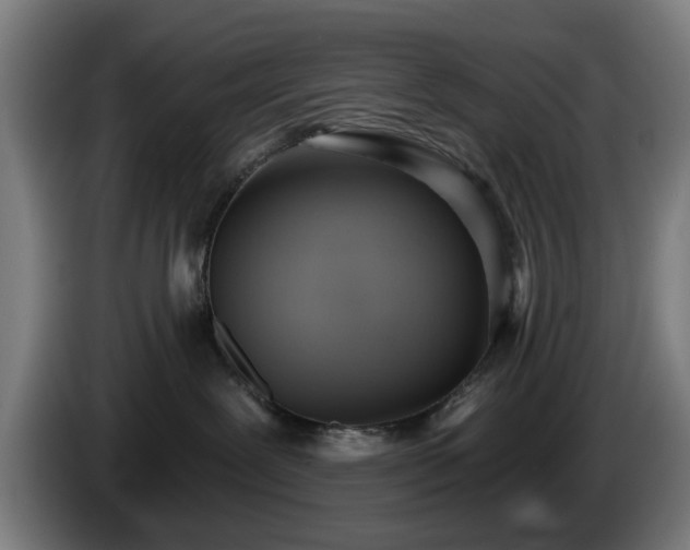 X0000086000239200703300955