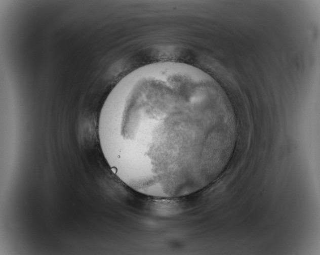 X0000086000240200703300955