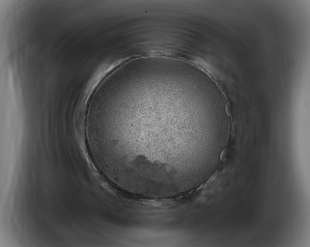 X0000086000241200703300954