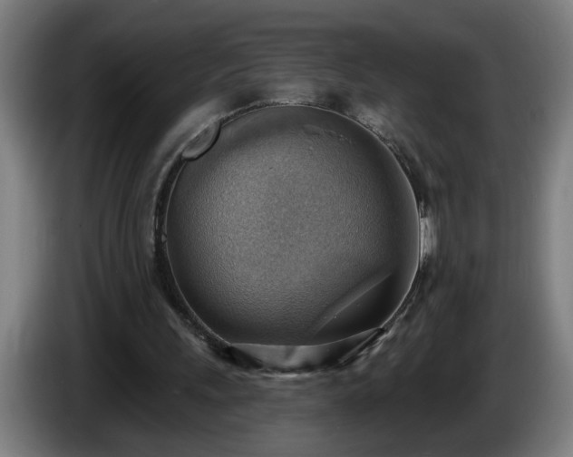 X0000086000243200703300954