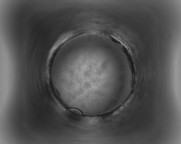 X0000086000245200703300954