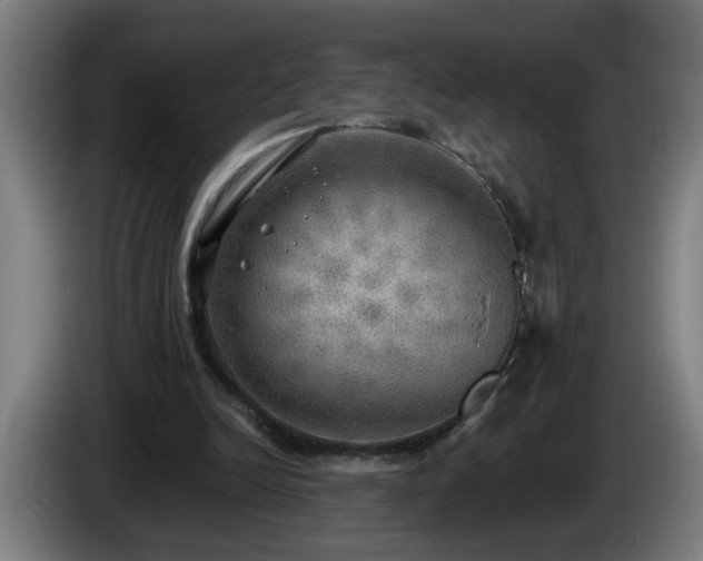 X0000086000246200703300954