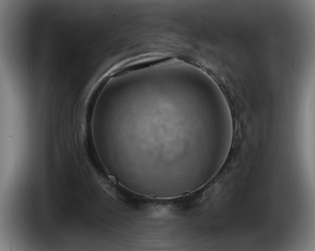 X0000086000247200703300954