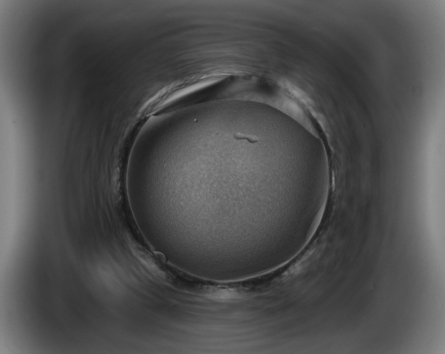 X0000086000249200703300954