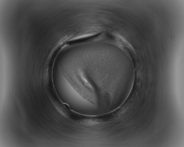 X0000086000250200703300954