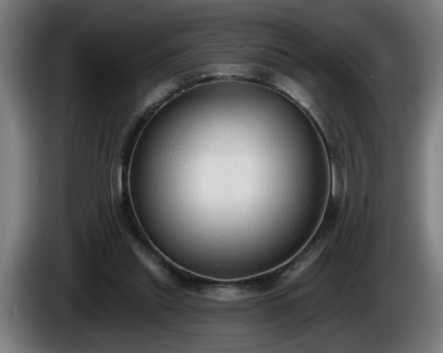 X0000086000253200703300954