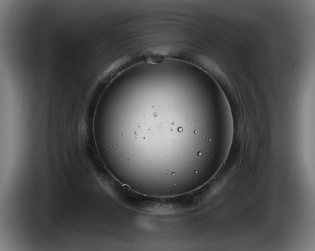 X0000086000256200703300954