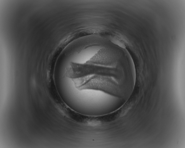 X0000086000258200703300954