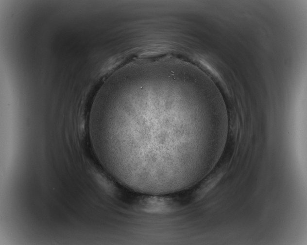 X0000086000261200703300954