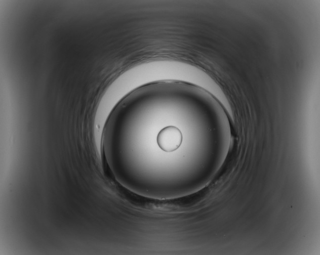 X0000086000268200703300954