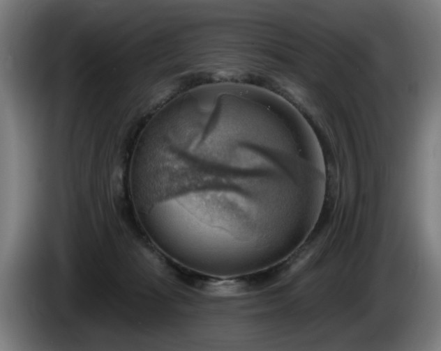 X0000086000269200703300954