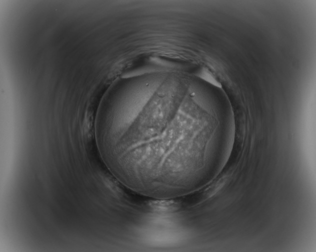 X0000086000273200703300954