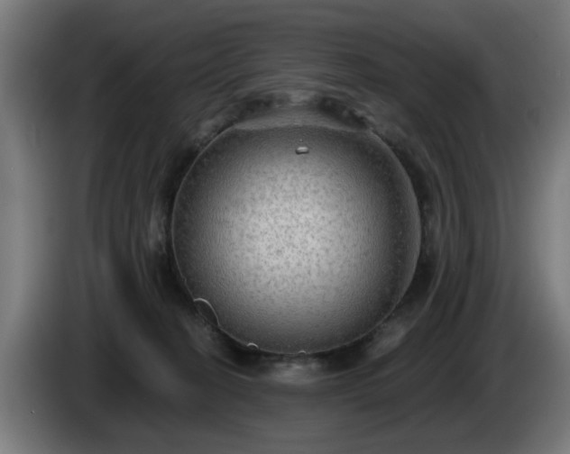 X0000086000274200703300954