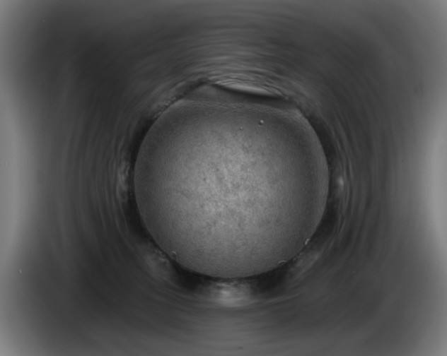 X0000086000275200703300954