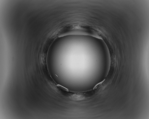 X0000086000280200703300954