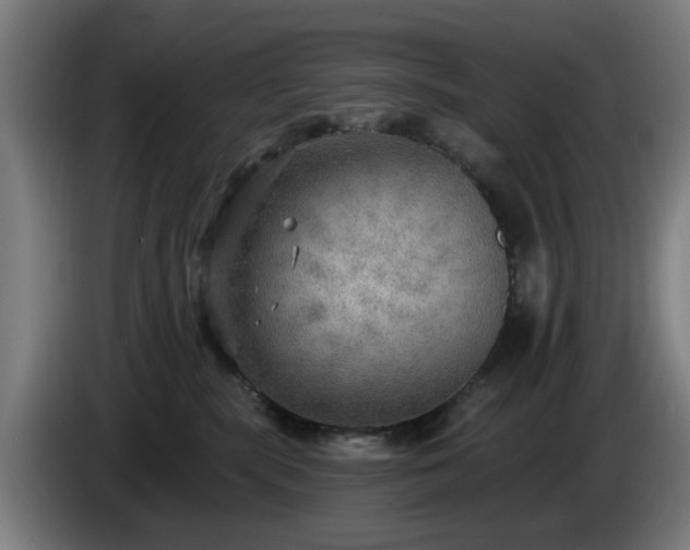 X0000086000283200703300955