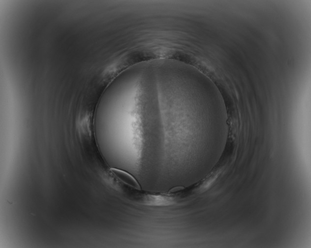 X0000086000286200703300955