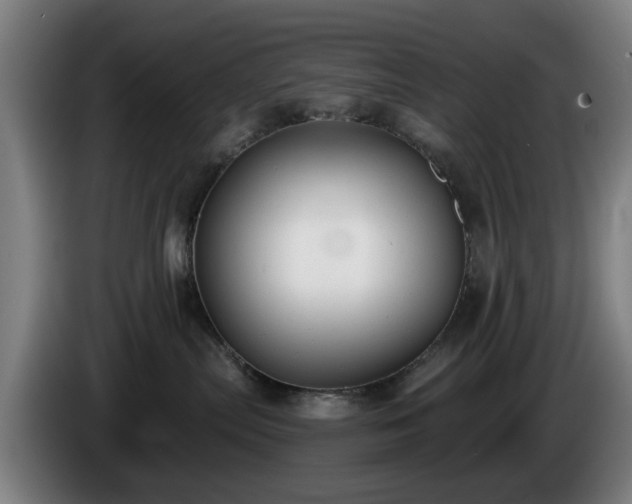 X0000086000287200703300955