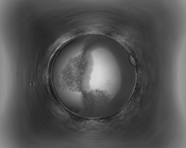 X0000086000290200703300954