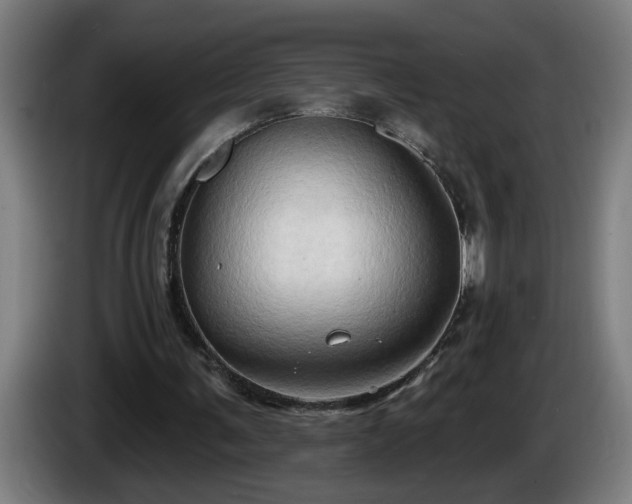 X0000086000291200703300954