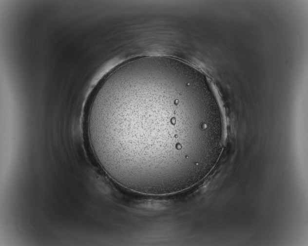 X0000086000292200703300954