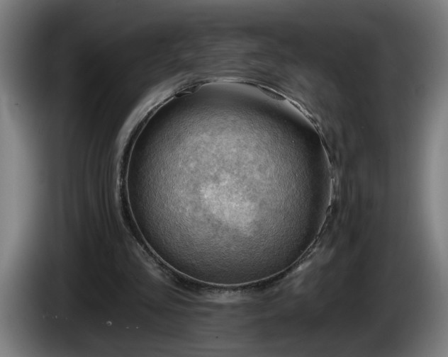 X0000086000293200703300954