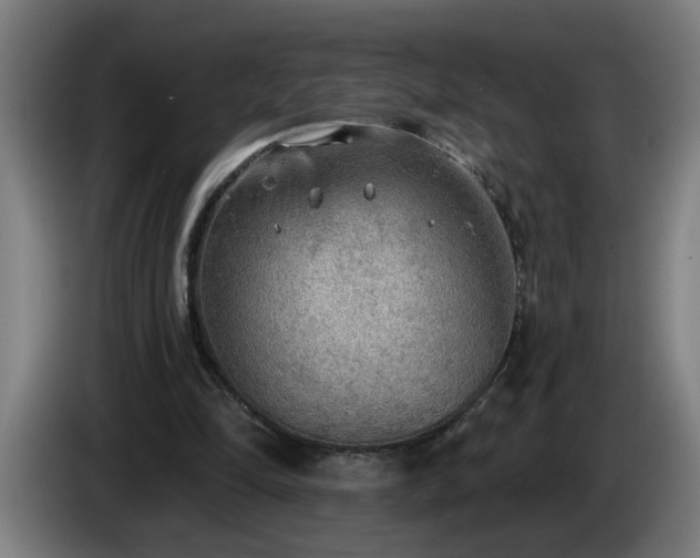 X0000086000294200703300954