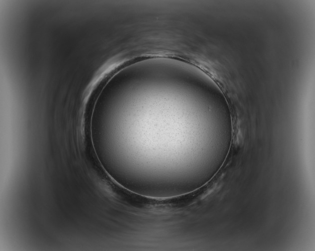 X0000086000296200703300954