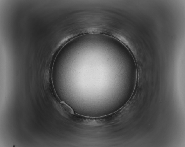 X0000086000297200703300954