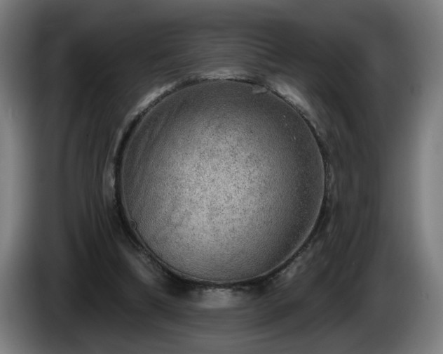 X0000086000298200703300954