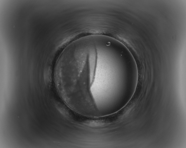 X0000086000303200703300954