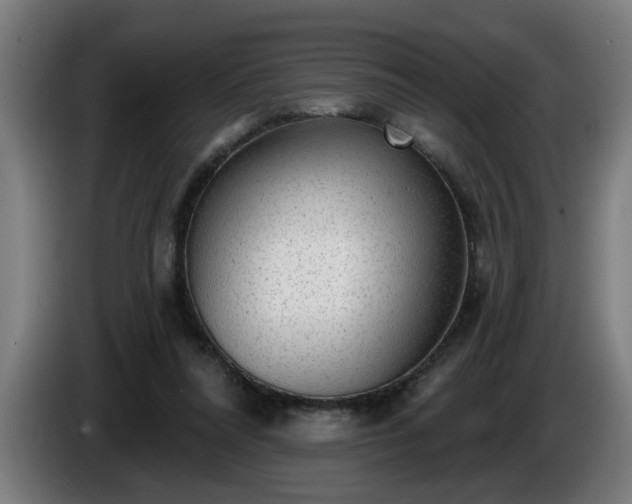 X0000086000304200703300954