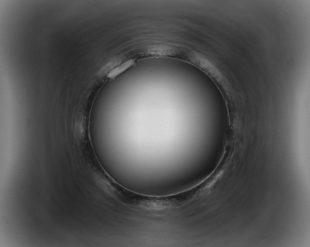 X0000086000305200703300953