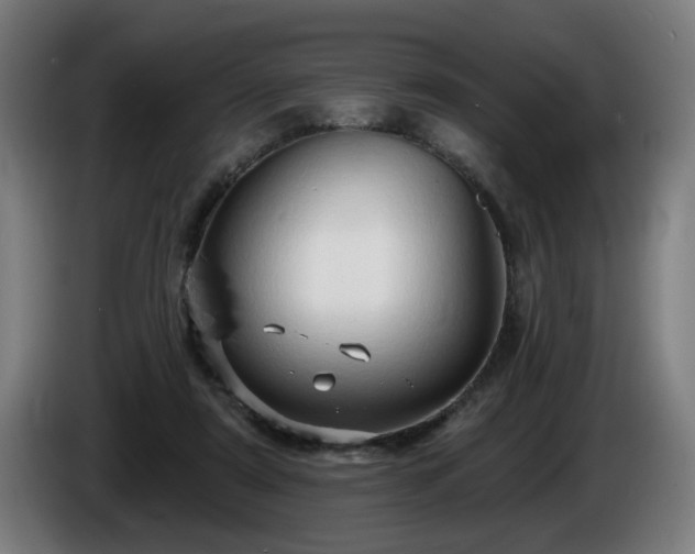 X0000086000307200703300953