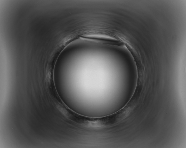 X0000086000309200703300953