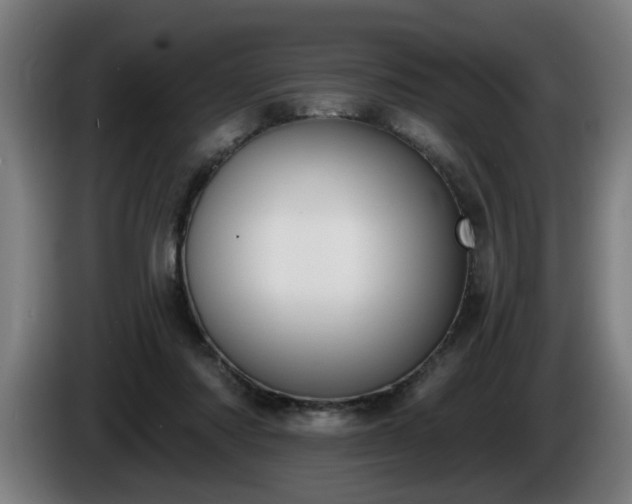 X0000086000310200703300953