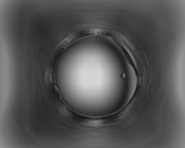 X0000086000313200703300953