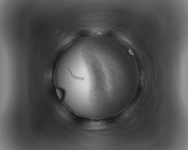 X0000086000314200703300953