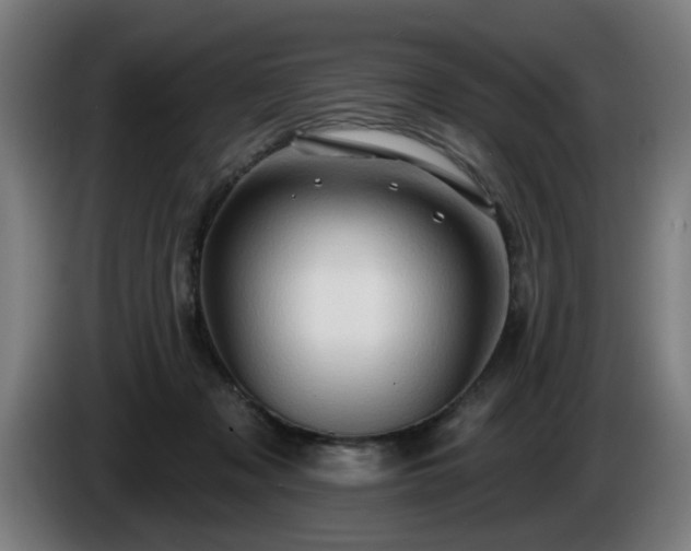 X0000086000317200703300953