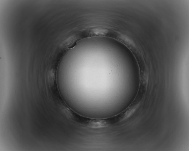 X0000086000321200703300953