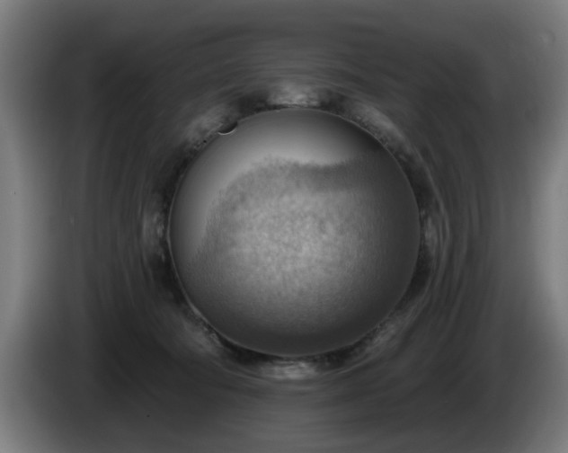 X0000086000322200703300953