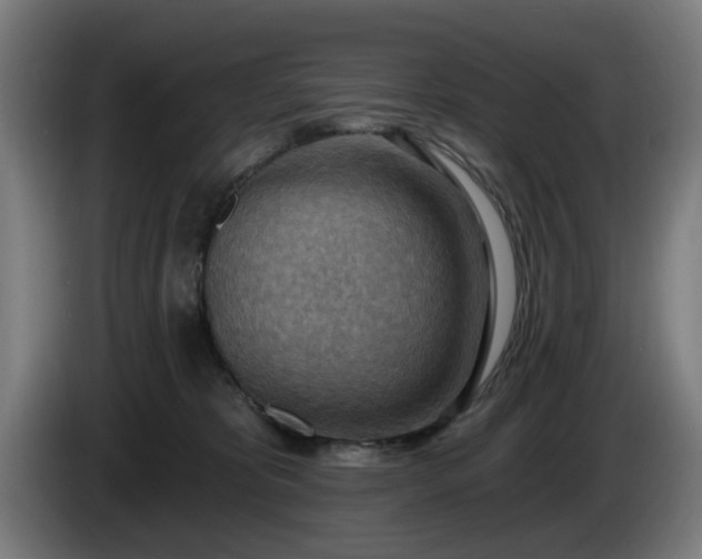 X0000086000325200703300953