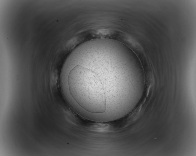 X0000086000328200703300953