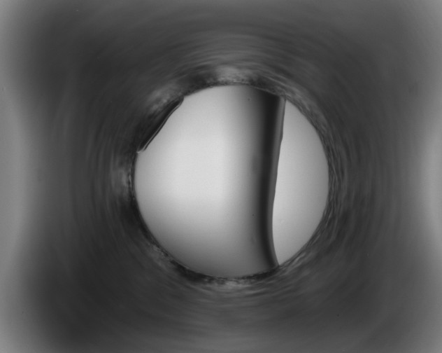 X0000086000329200703300953